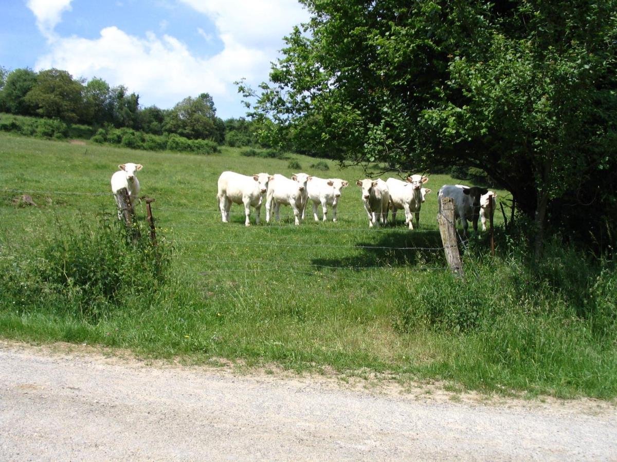 4 Collines Bed & Breakfast Hagnicourt Bagian luar foto
