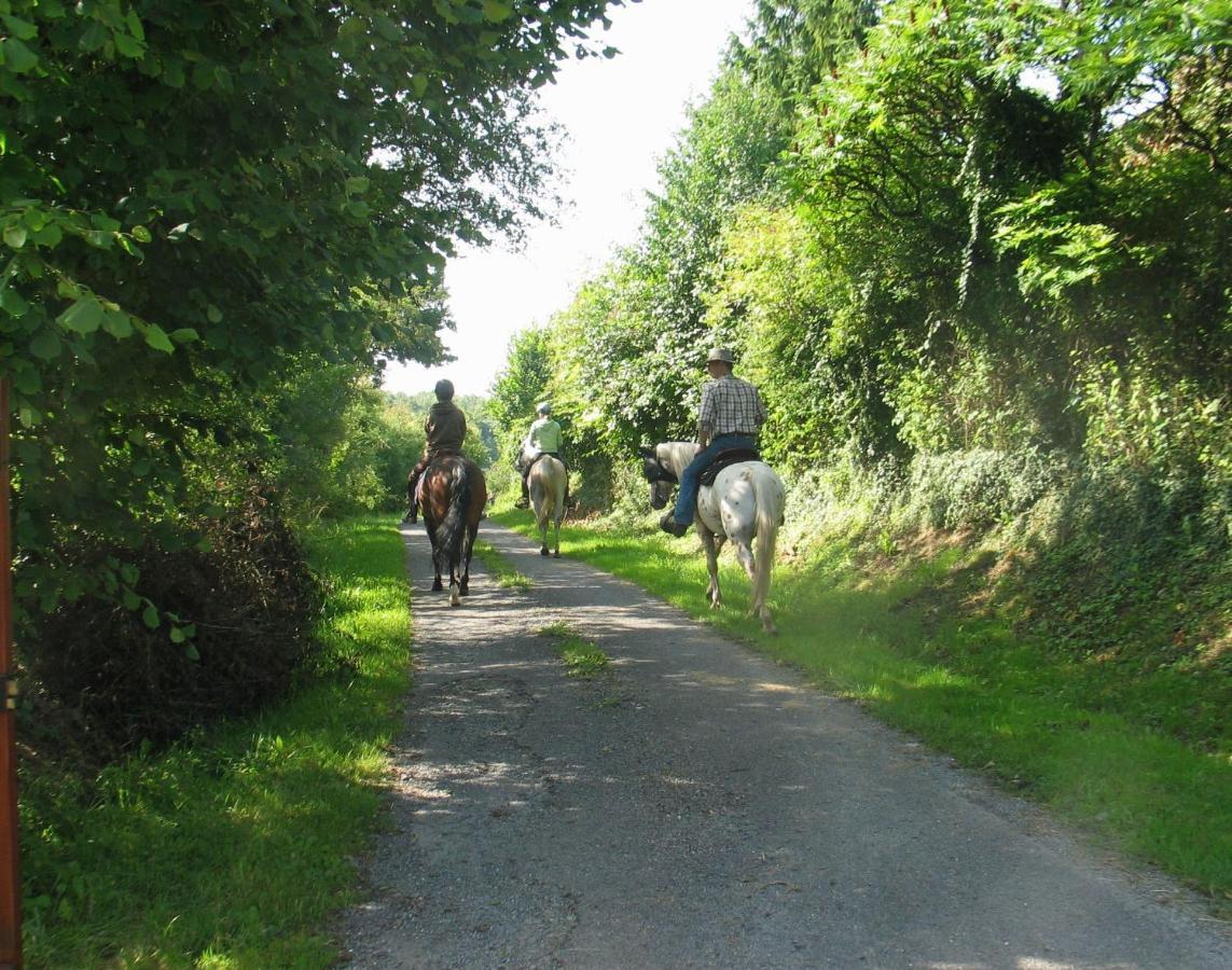 4 Collines Bed & Breakfast Hagnicourt Bagian luar foto