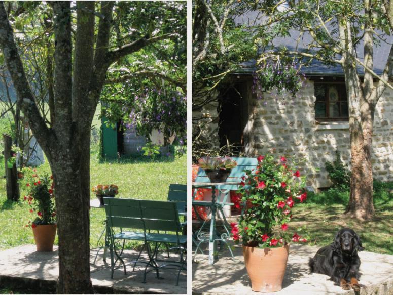 4 Collines Bed & Breakfast Hagnicourt Bagian luar foto